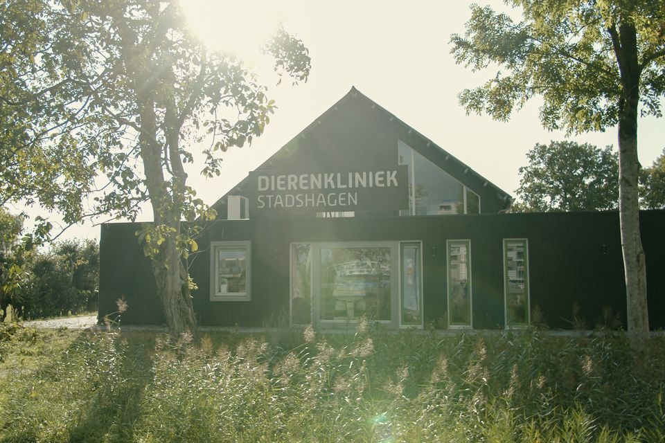 Dierenkliniek Stadshagen Zwolle - Nieuwbouw